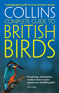 British Birds 