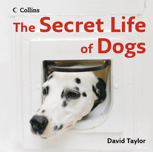 The Secret Life of Dogs 