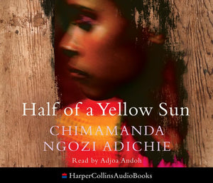 Half of a Yellow Sun 