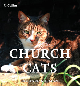 Church Cats 