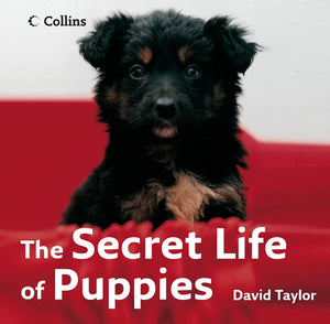 The Secret Life of Puppies 