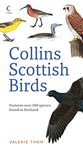 Collins Scottish Birds 