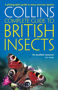 British Insects 