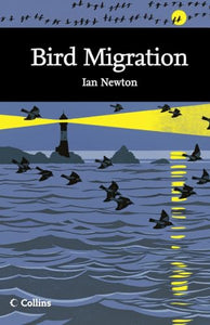 Bird Migration 