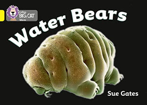 Water Bears 