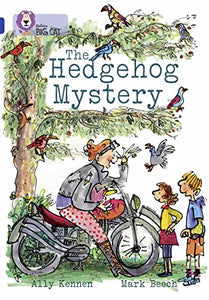 The Hedgehog Mystery 