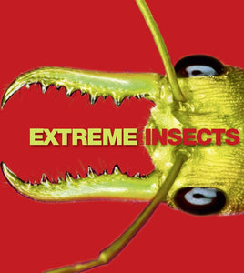 Extreme Insects 