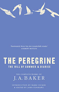 The Peregrine 