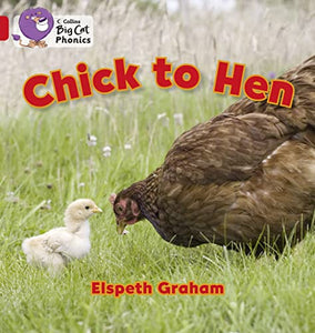 Chick to Hen 