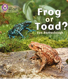 Frog or Toad? 