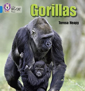 Gorillas 