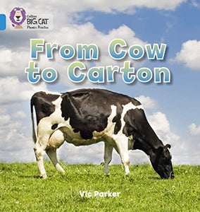 From Cow to Carton 