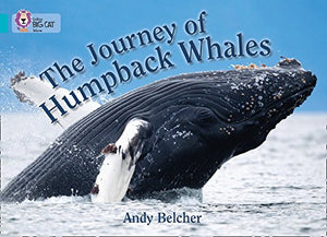 The Journey of Humpback Whales 