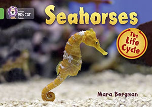 Seahorses 