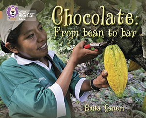 Chocolate: from Bean to Bar 