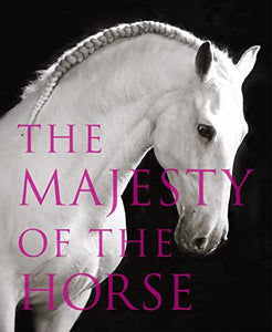 The Majesty of the Horse 