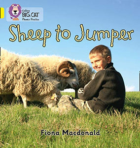 Sheep to Jumper 