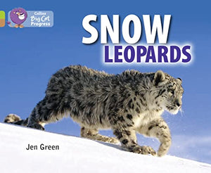 Snow Leopards 