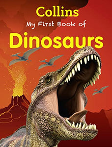 My First Book of Dinosaurs 