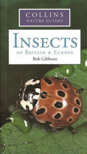 Insects of Britain and Europe 