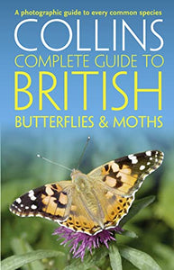 British Butterflies and Moths 