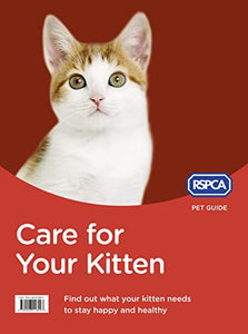 Care for Your Kitten 