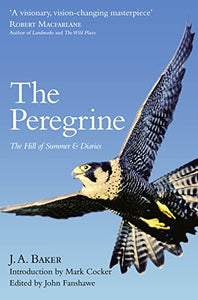 The Peregrine 