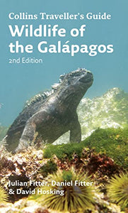 Wildlife of the Galapagos 