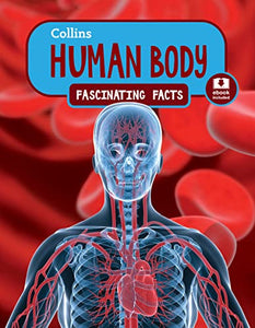 Human Body 