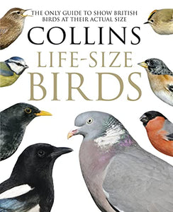 Collins Life-Size Birds 