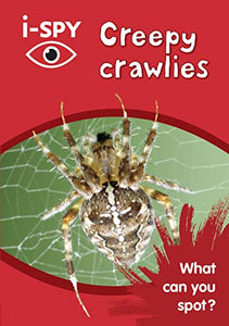 i-SPY Creepy crawlies 