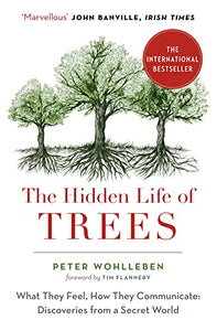 The Hidden Life of Trees 