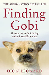 Finding Gobi (Main edition) 