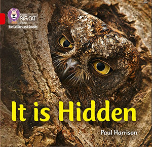 It is Hidden 