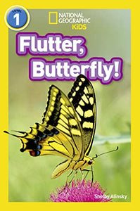 Flutter, Butterfly! 