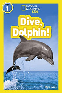 Dive, Dolphin! 