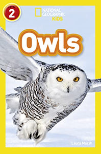 Owls 