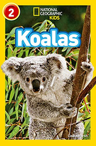 Koalas 