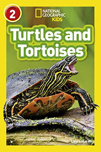 Turtles and Tortoises 