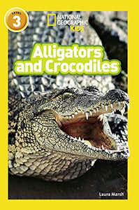 Alligators and Crocodiles 