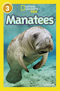 Manatees 