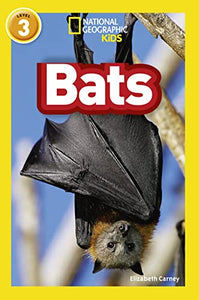 Bats 