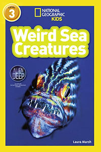 Weird Sea Creatures 