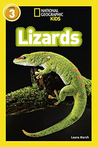 Lizards 