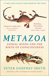 Metazoa 