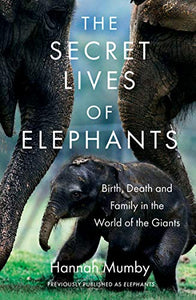 The Secret Lives of Elephants 