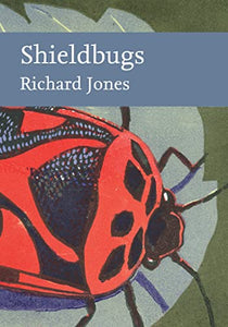 Shieldbugs 