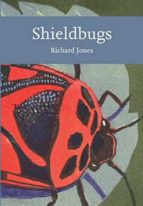 Shieldbugs 