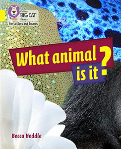 What Animal is It? 