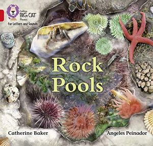 Rock Pools 